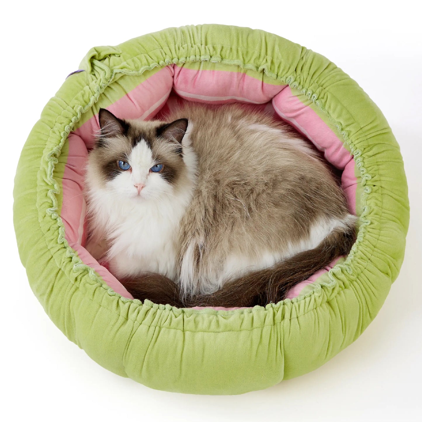 Lesure Cat Dog Beds - Washable round Cute Beds with Versatile Dual-Use Design, Reversible round Pet Bed for Puppy and Kitten, Green Color Pad Home Poodle