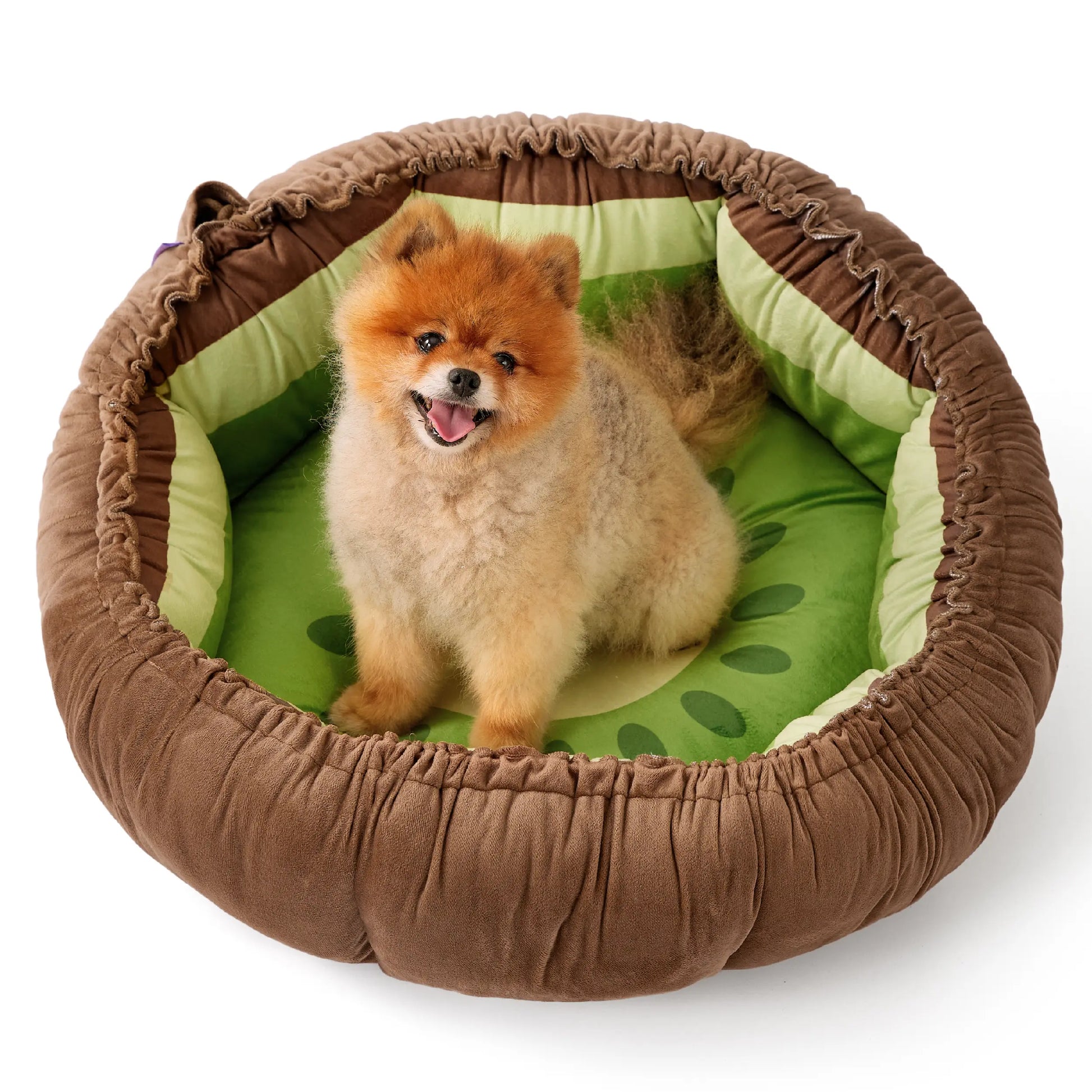 Lesure Cat Dog Beds - Washable round Cute Beds with Versatile Dual-Use Design, Reversible round Pet Bed for Puppy and Kitten, Green Color Pad Home Poodle