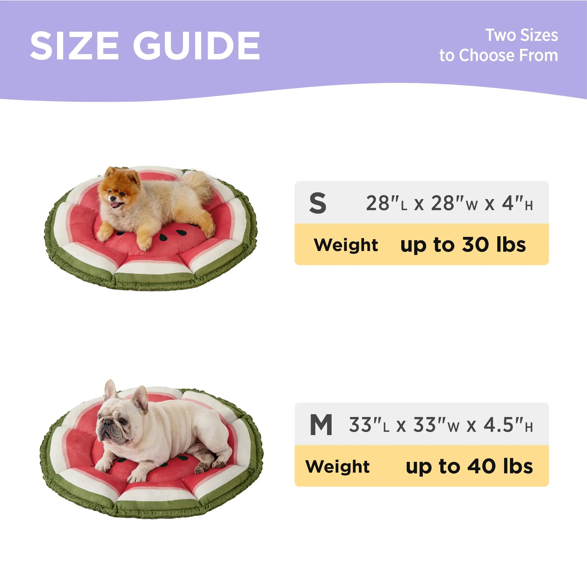 Lesure Cat Dog Beds - Washable round Cute Beds with Versatile Dual-Use Design, Reversible round Pet Bed for Puppy and Kitten, Green Color Pad Home Poodle