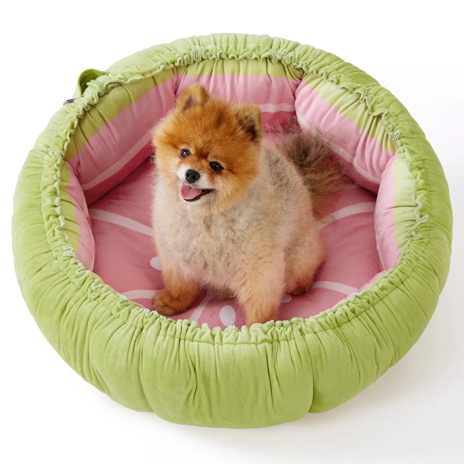 Lesure Cat Dog Beds - Washable round Cute Beds with Versatile Dual-Use Design, Reversible round Pet Bed for Puppy and Kitten, Green Color Pad Home Poodle